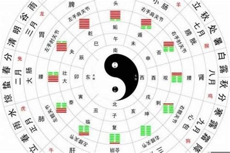 五行 算|生辰八字算命、五行喜用神查詢（免費測算）